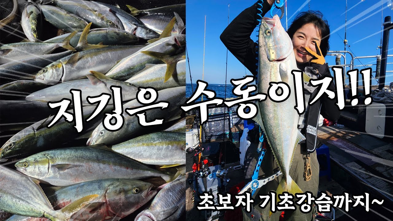 비싼 제철 방어 잡아보자! 남녀노소 외국인까지 모두 난리법석!!