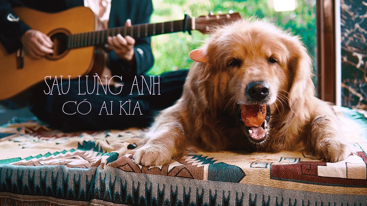 SAU LƯNG ANH CÓ AI KÌA (Acoustic Ver.) - THIỀU BẢO TRÂM | Bun & Orin Cover