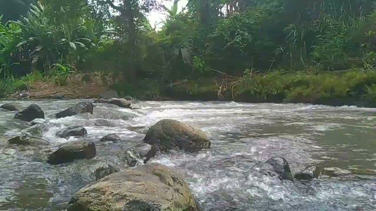 CALMING ASMR SOUNDS OF RIVER WATER