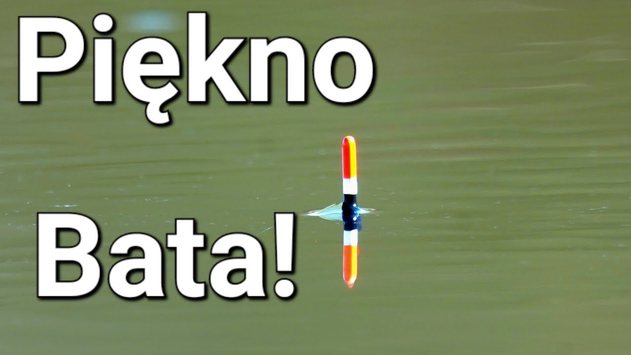 Pokochałem To Łowienie! Piękno Bata! Wędkarstwo Spławikowe