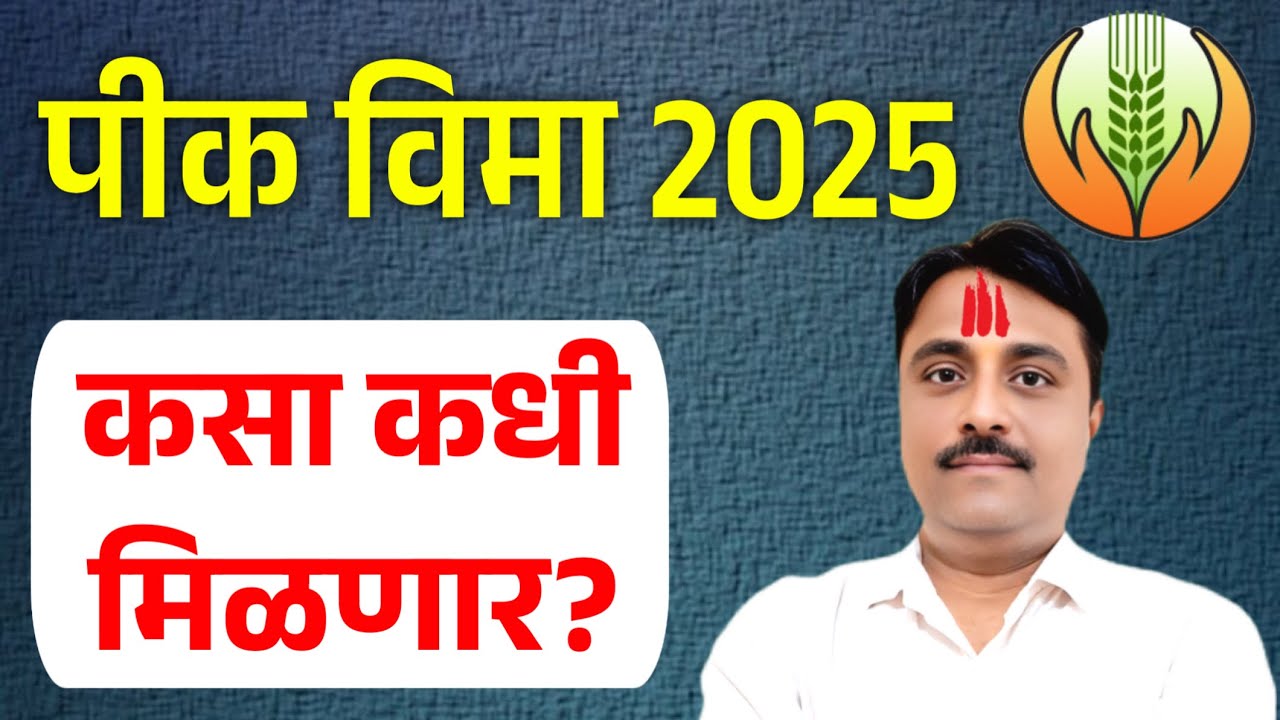 पीक विमा कधी मिळणार? | kharip pik vima 2025