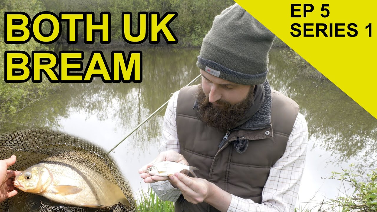 Catching Silver & Bronze Bream: Species Hunt  (EPISODE 5)