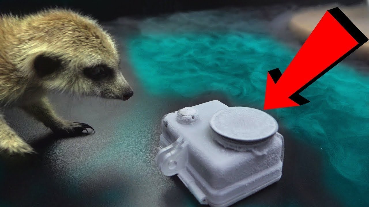 WILL A RECORDING ACTION CAMERA SURVIVE LIQUID NITROGEN  -196°C !?