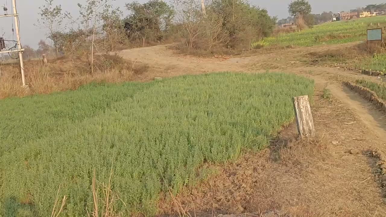 8651811640//Patna Bihta Sarmera se matra 3 km per ye comercial Plot hai 12 katha ka 