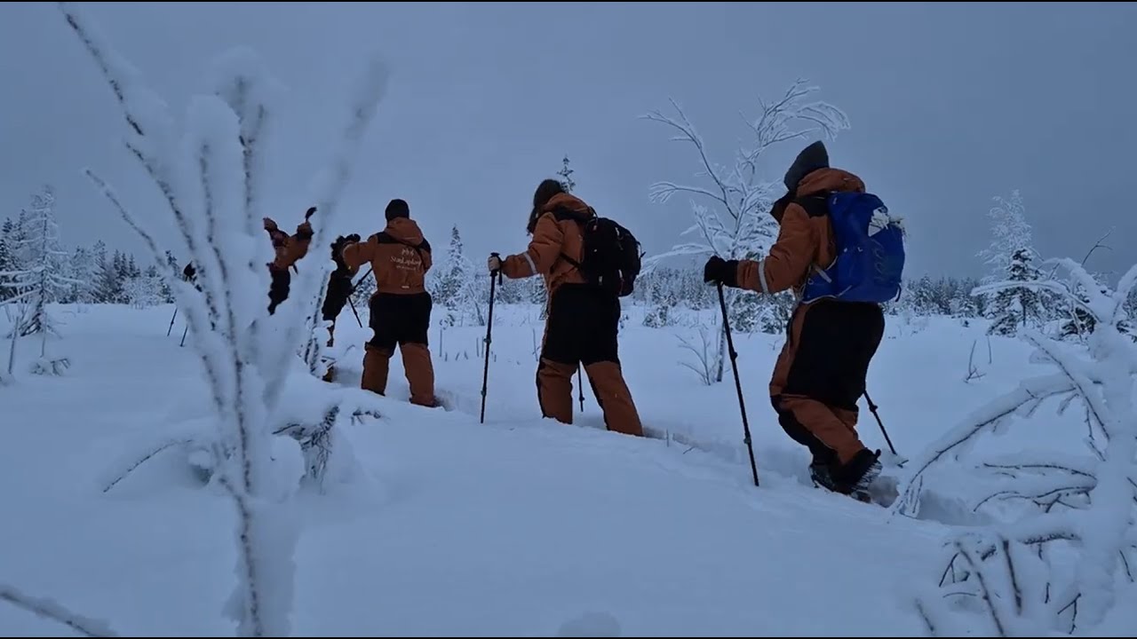 Winter in Finland With G Adventures - 11.1.2026 - 17.1.2026
