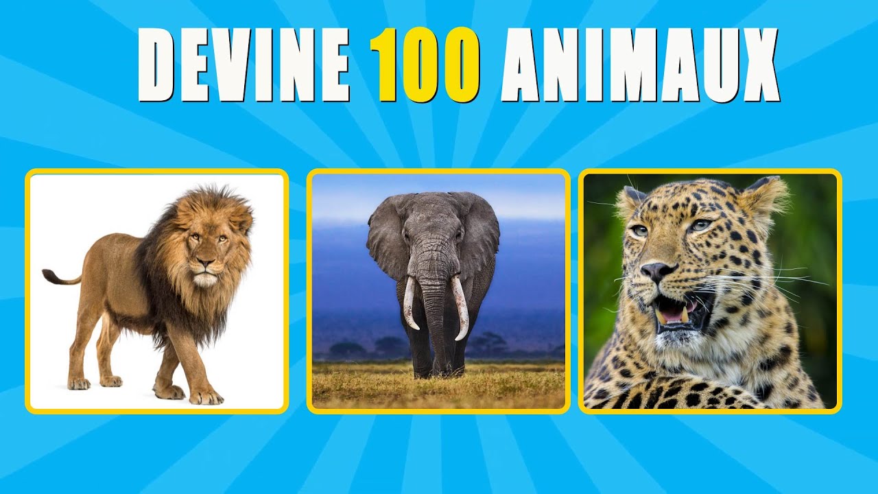 Pourrez vous deviner 100 ANIMAUX de la forêt?