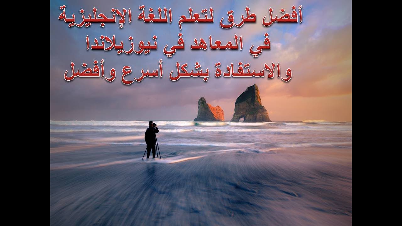 أفضل الطرق للاستفادة من المعاهد في نيوزيلاندا والتعلم بشكل أفضل وأسرع