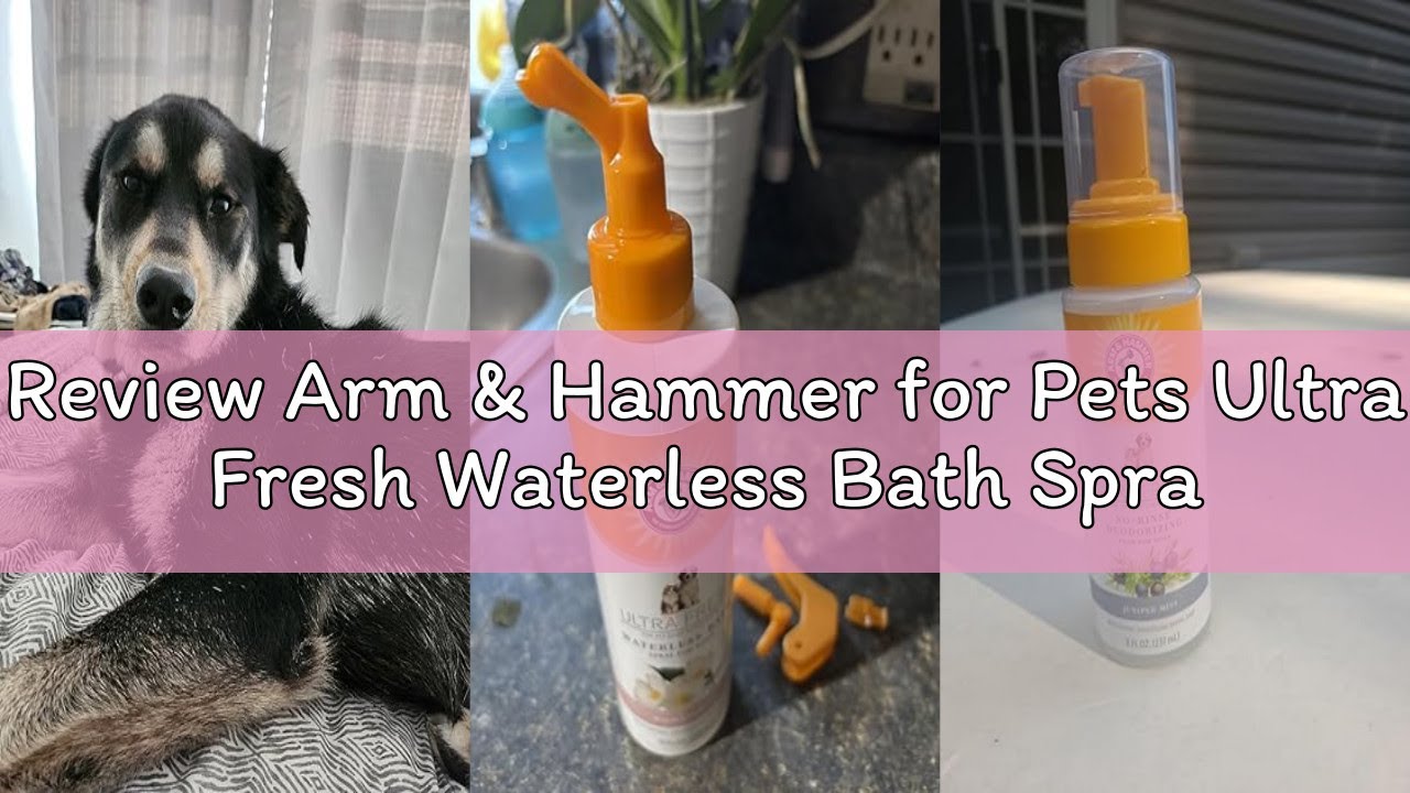 Review Arm & Hammer for Pets Ultra Fresh Waterless Bath Spray in White Jasmine Scent | Dry Dog Shamp