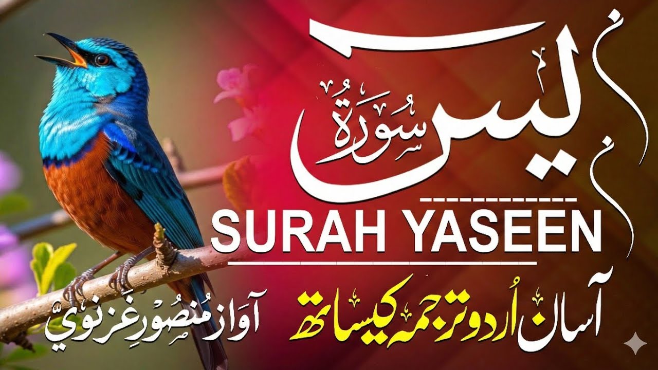 Surah Yaseen with Urdu Translation | Calm Quran Recitation – Qari Mansoor Ghaznavi