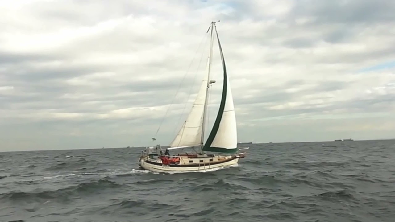 Norsea 27  (Cookie)      Day Sailing in Yokohama  2018  November