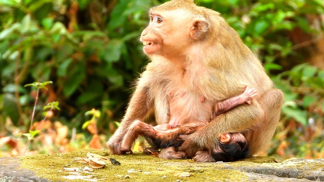Top Sweet and Cute Newborn baby, Brindy Happily Welcomes Her First Newborn Baby
