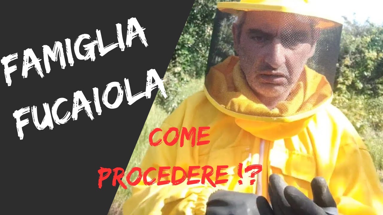 ARNIA FUCAIOLA, CONSIGLI!?