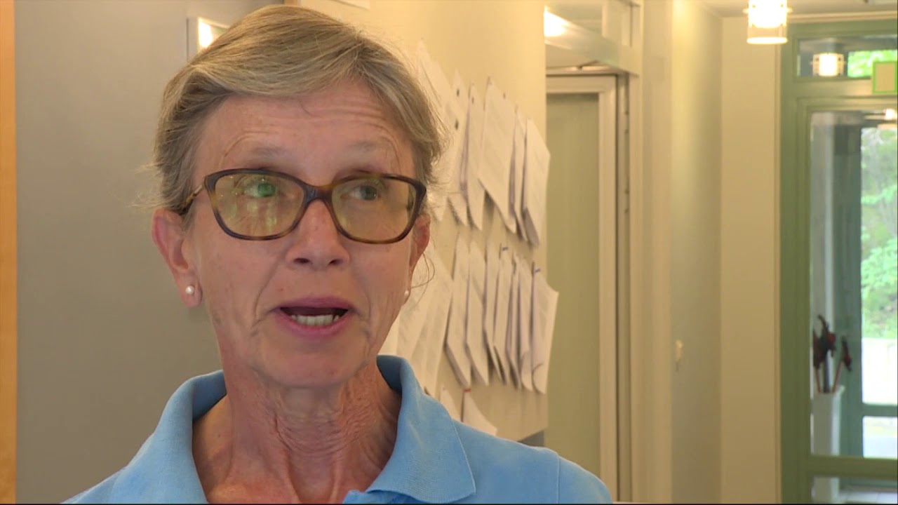 IT-support på högtryck efter semestern - Nyheterna (TV4)