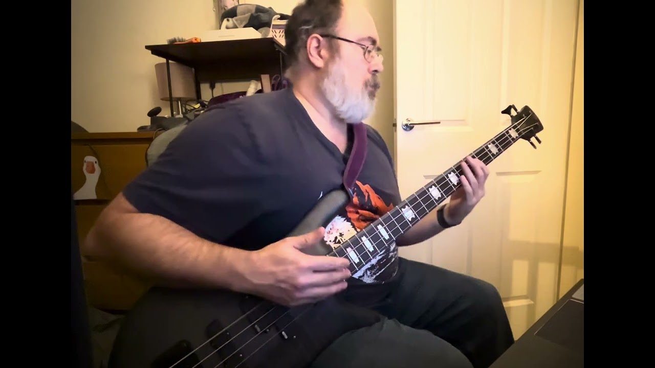 Walk the Dinosaur bass cover 