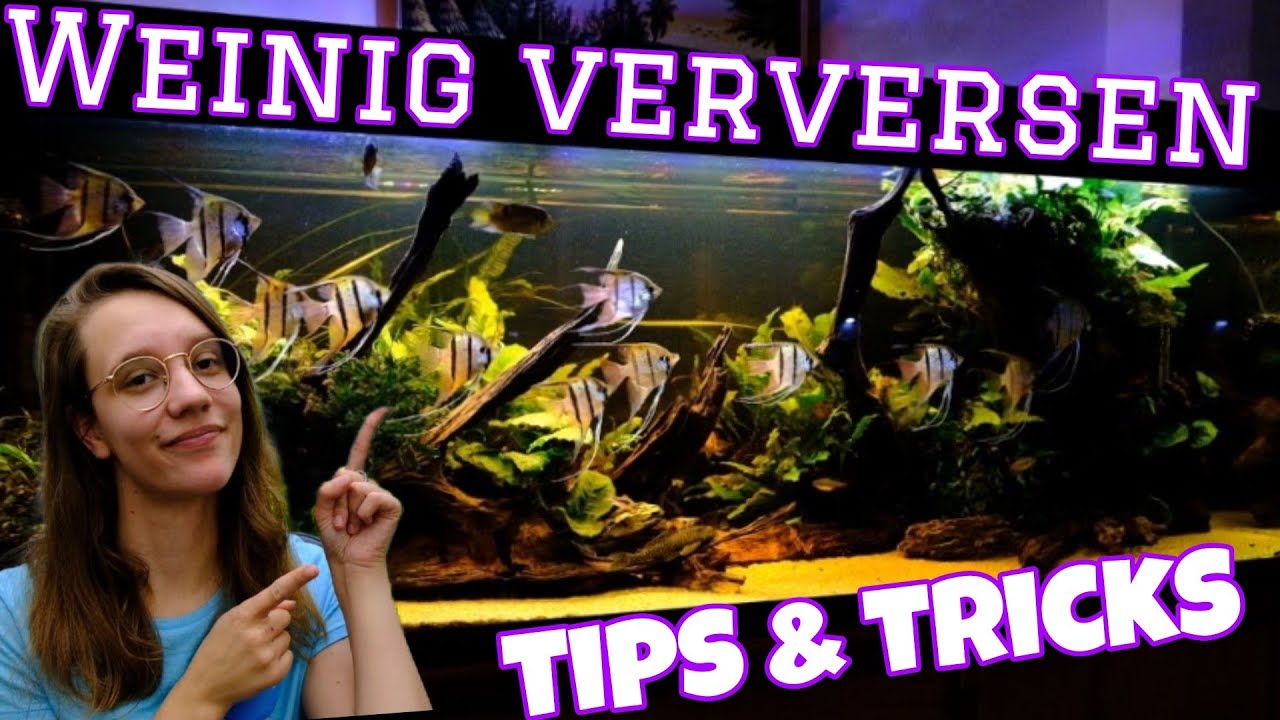 2 METER met WEINIG ONDERHOUD, Hoe doe je dat? //Nickey//