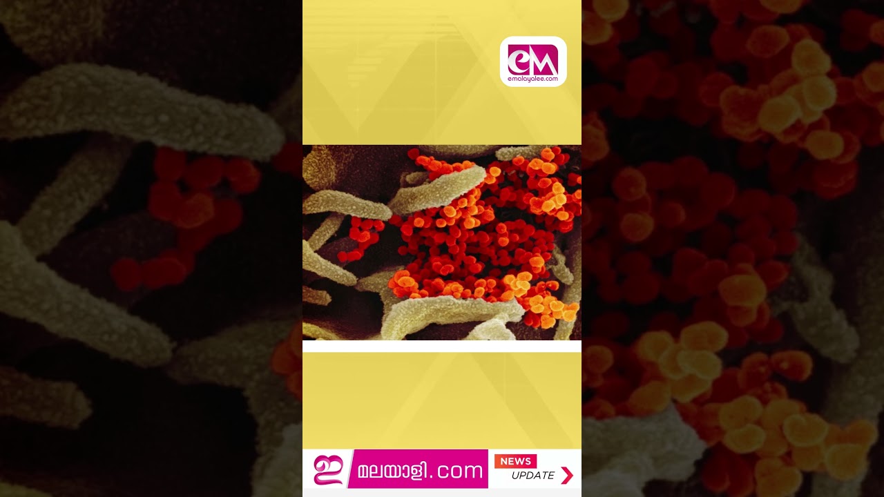 Dallas County Faces Covid-19 Outbreak, Health Experts Warn #shorts #newsreel