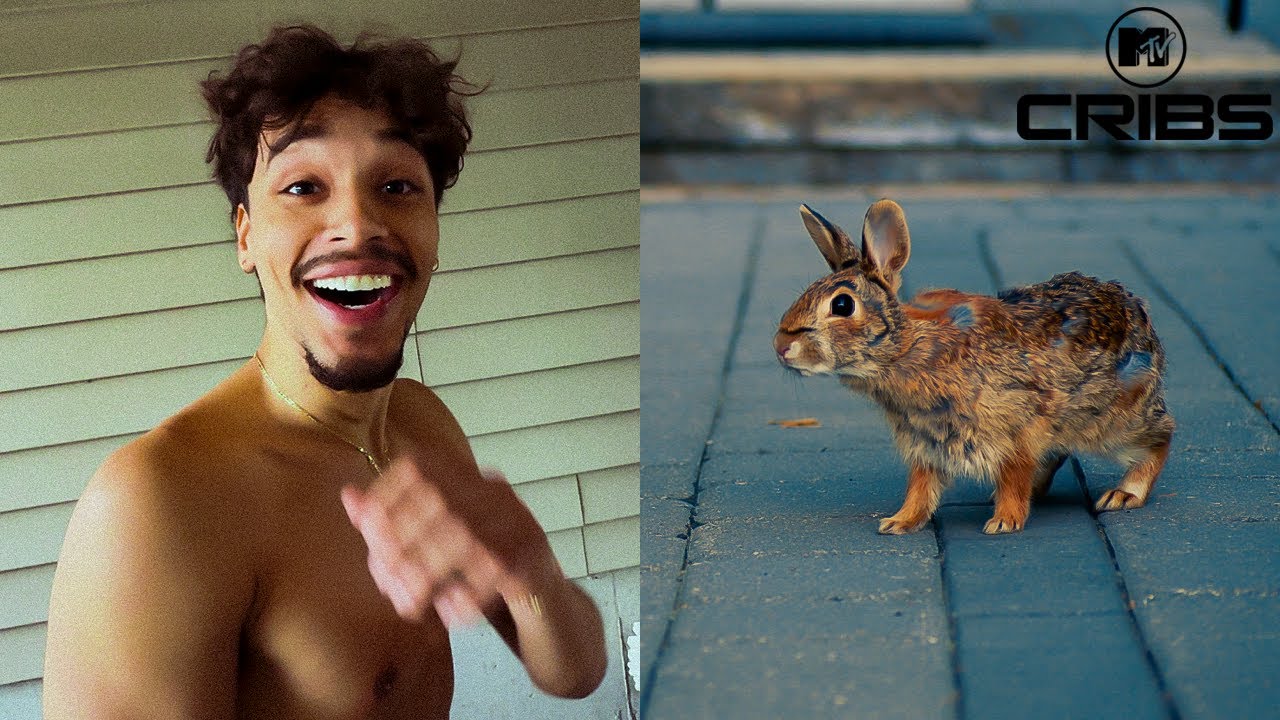 Rabbit Gives Birth In My Backyard | MTV Cribs Parody
