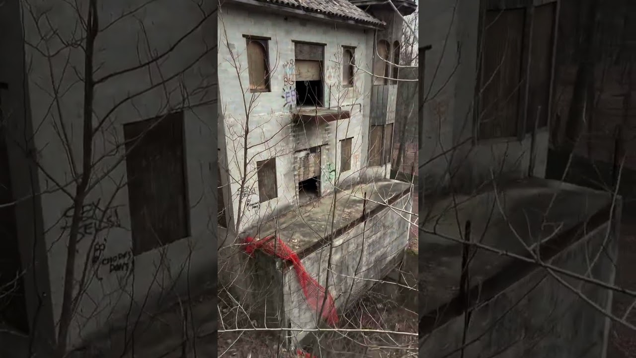 We found an abandoned mega mansion in the woods