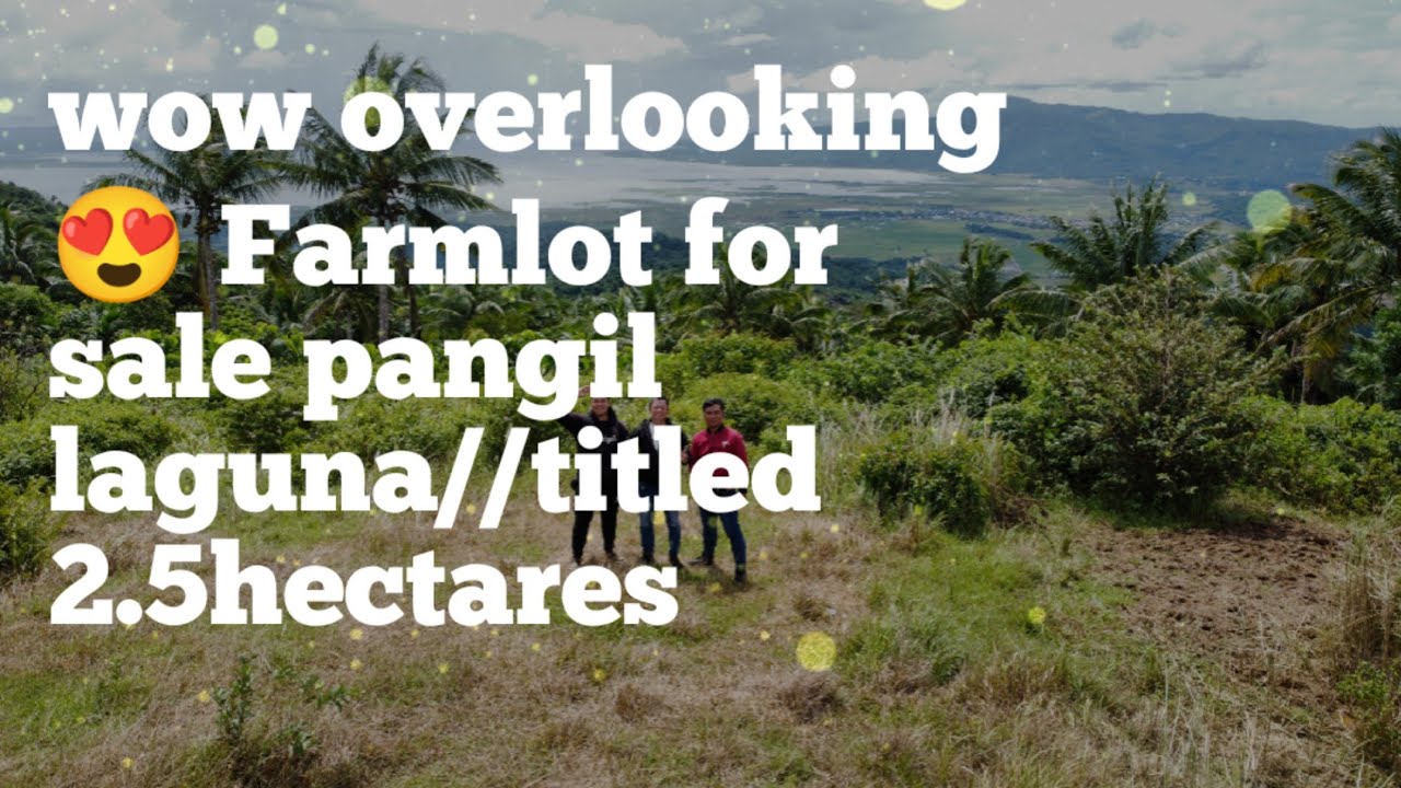 farmlot for sale/2.5has/pangil laguna/titled