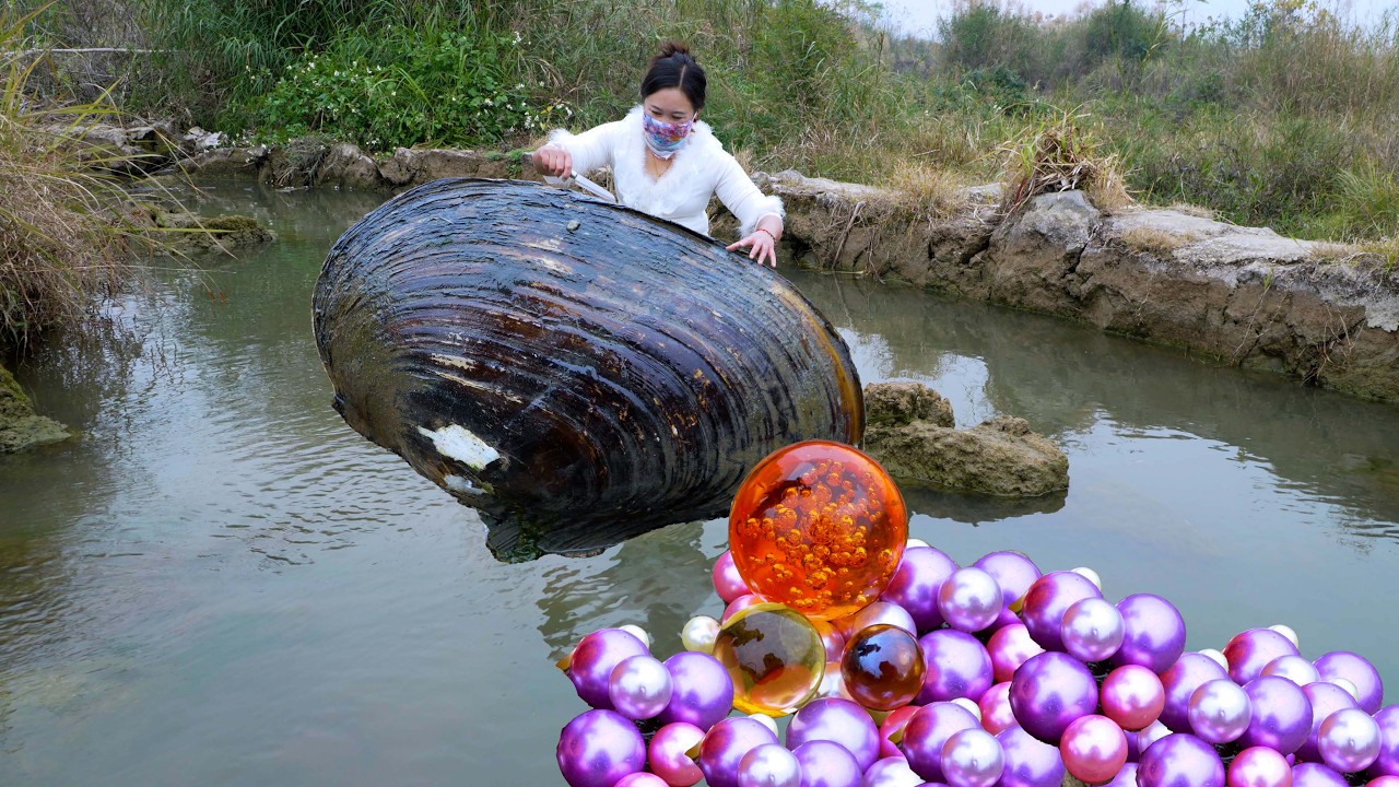 😱Pry open the giant clam, and a charming purple pearl will flow out from inside, incredibly precious