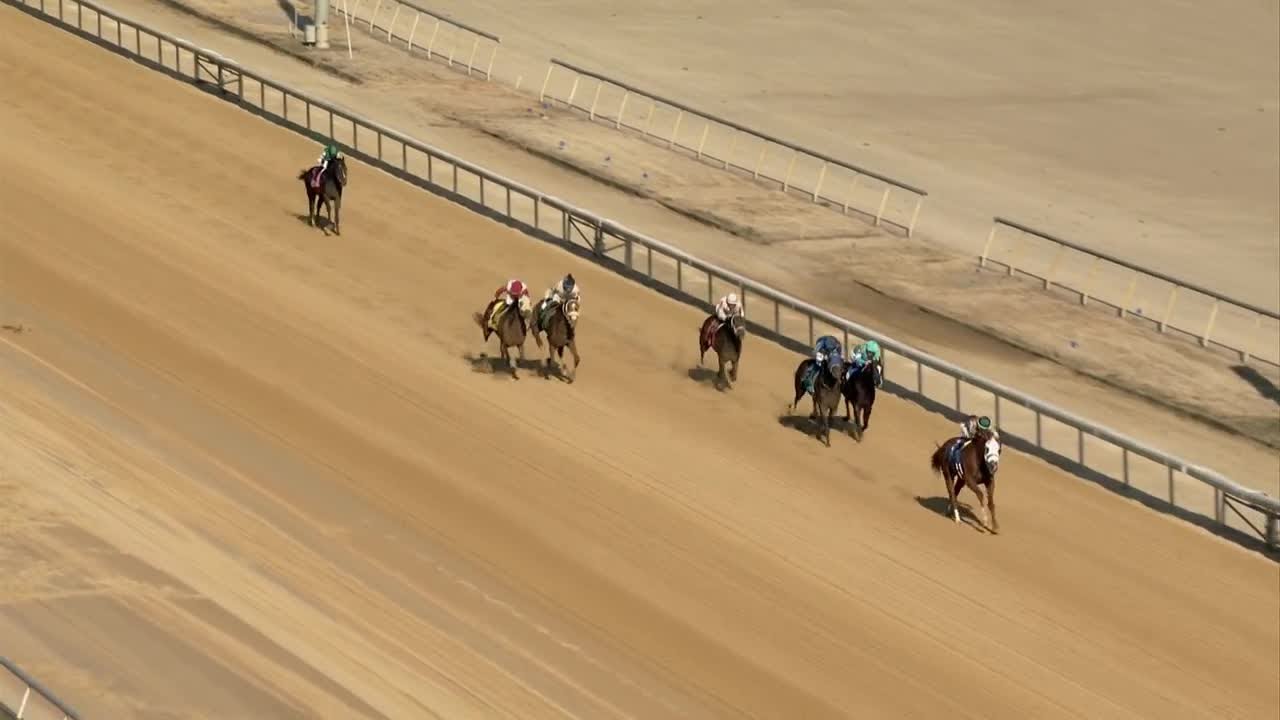 American Promise wins sold-out Virginia Derby at Colonial Downs