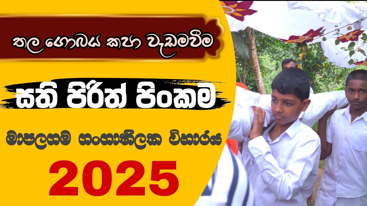 තල ගොබය කපා රැගෙන ඒම | සති පිරිත් පිංකම | මාපලගම