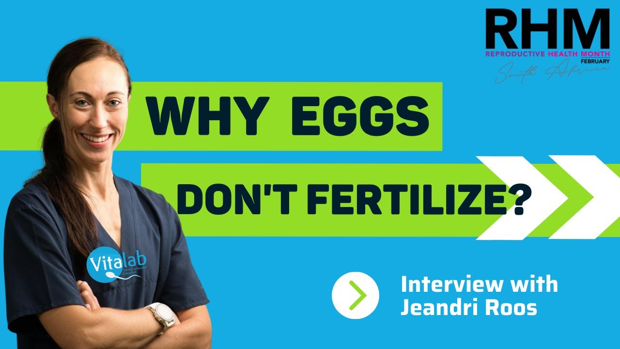 Why eggs don&rsquo;t fertilize? 😮⁉