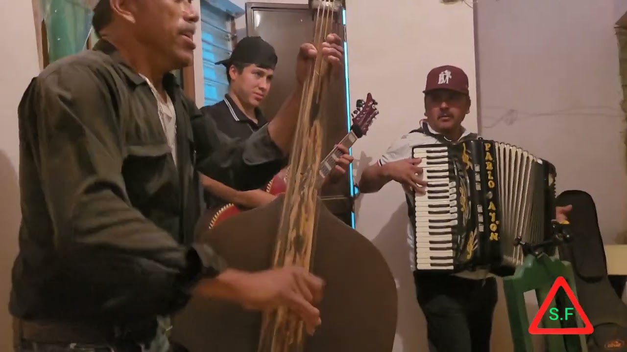 La piedresita.timiano y sus amigos