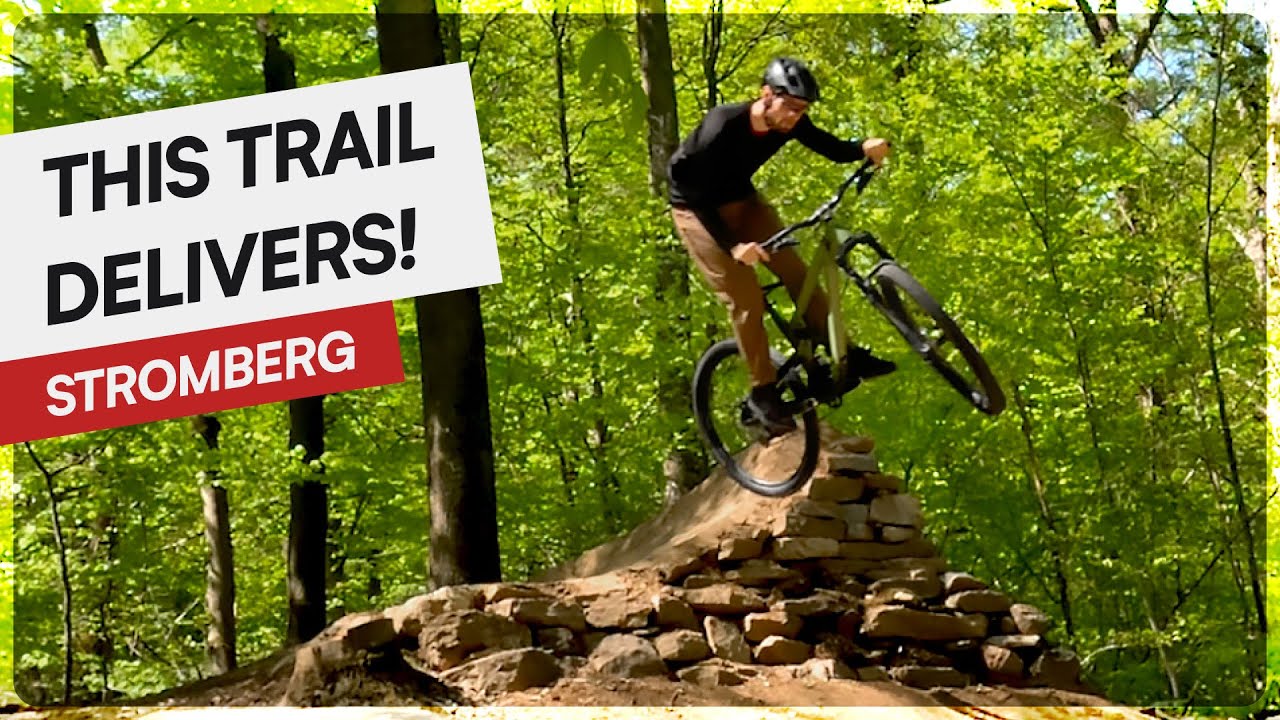 This Trail Delivers! | Wildhog | Flowtrail Stromberg, Germany 🇩🇪