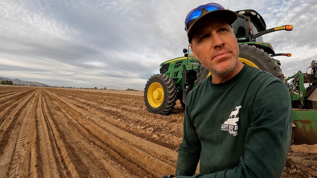 How To Plant Corn In AZ