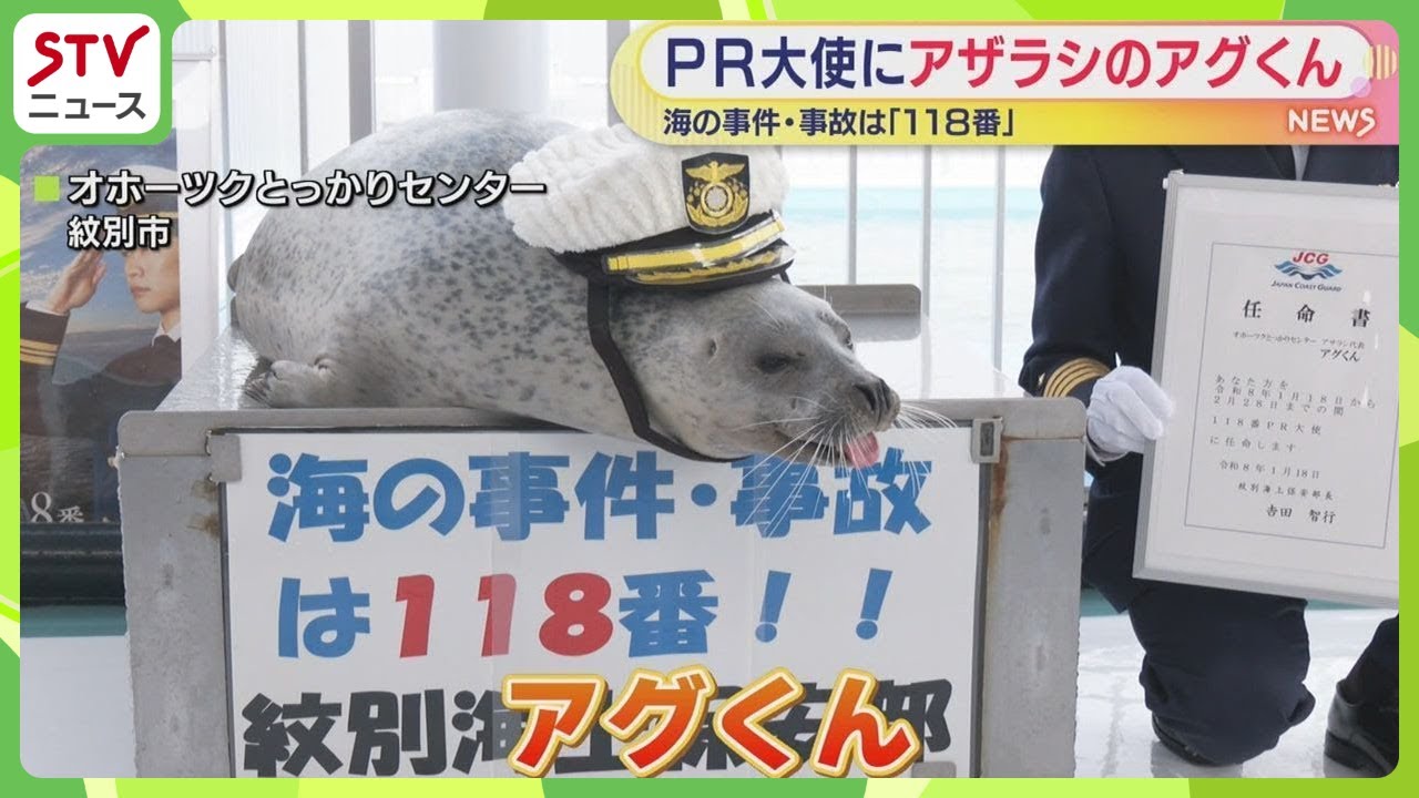 アザラシをPR大使に任命　1月18日｢118番の日｣　｢アグくん｣意気込む　北海道紋別市