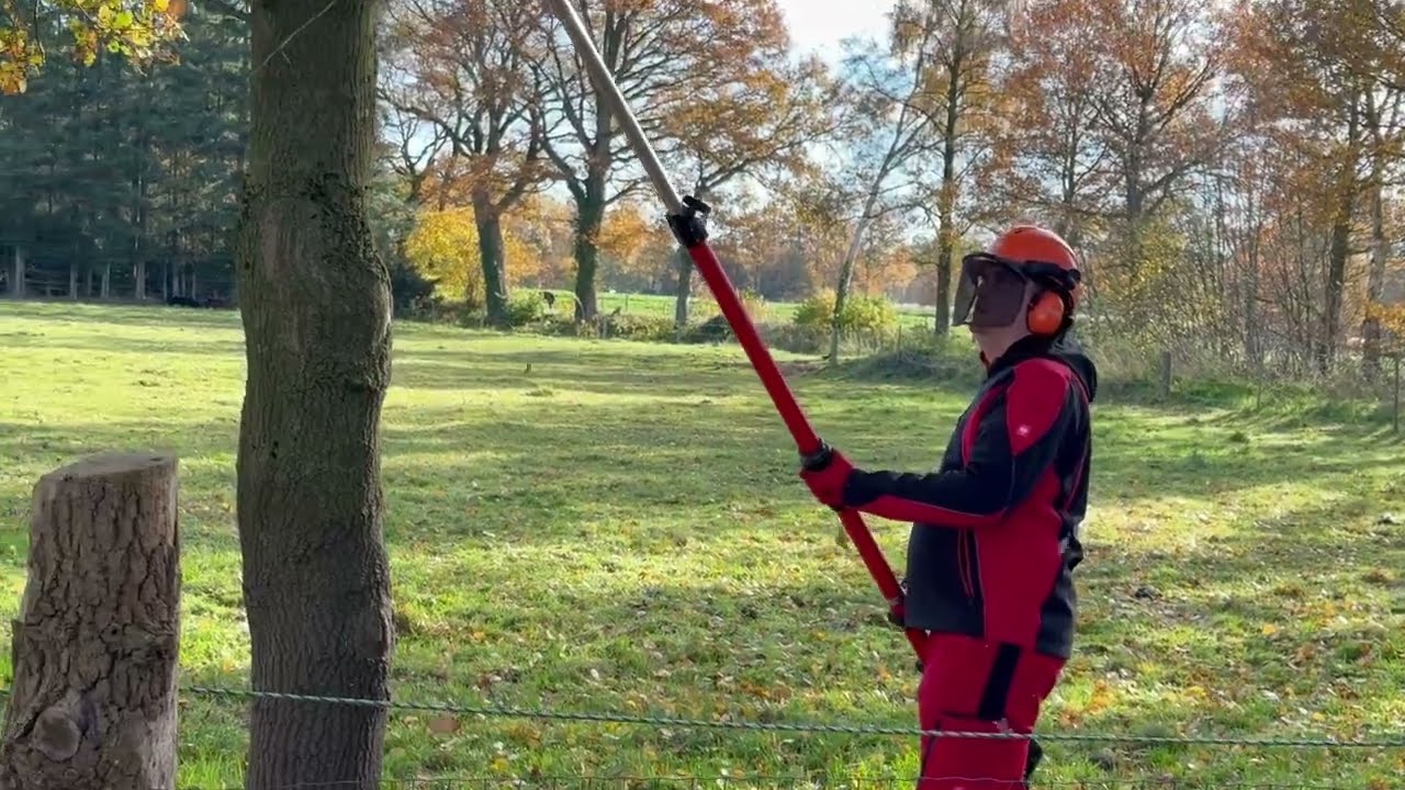 Bäume schneiden ohne Leiter – Hochentaster mit 4,27 m Reichweite | HECHT 9260
