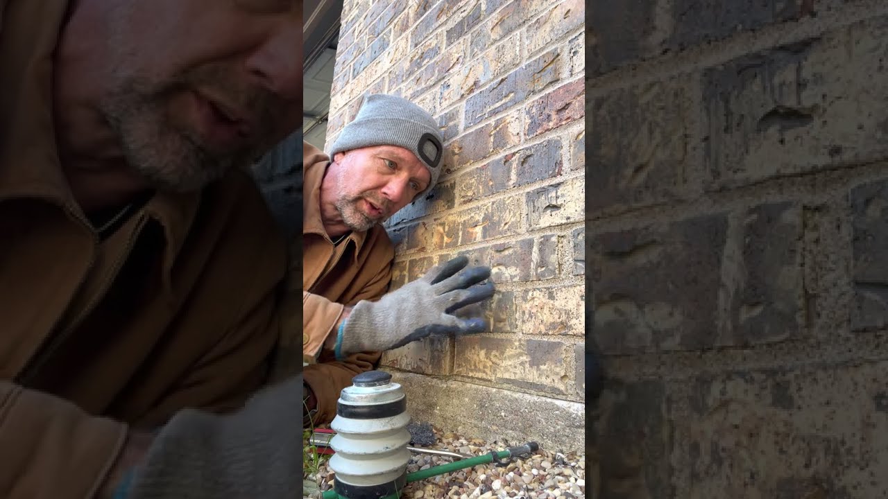 Weep Hole Pest Control Advice