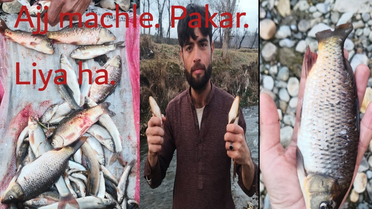 Aj ma apny dustun k sath machle pakarny gya. 👌👌