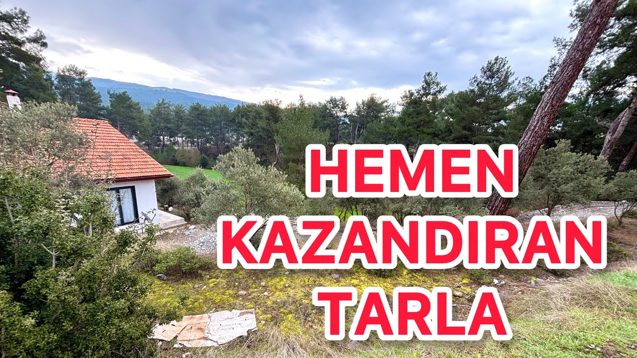 Alır Almaz Kazandıran Tarla