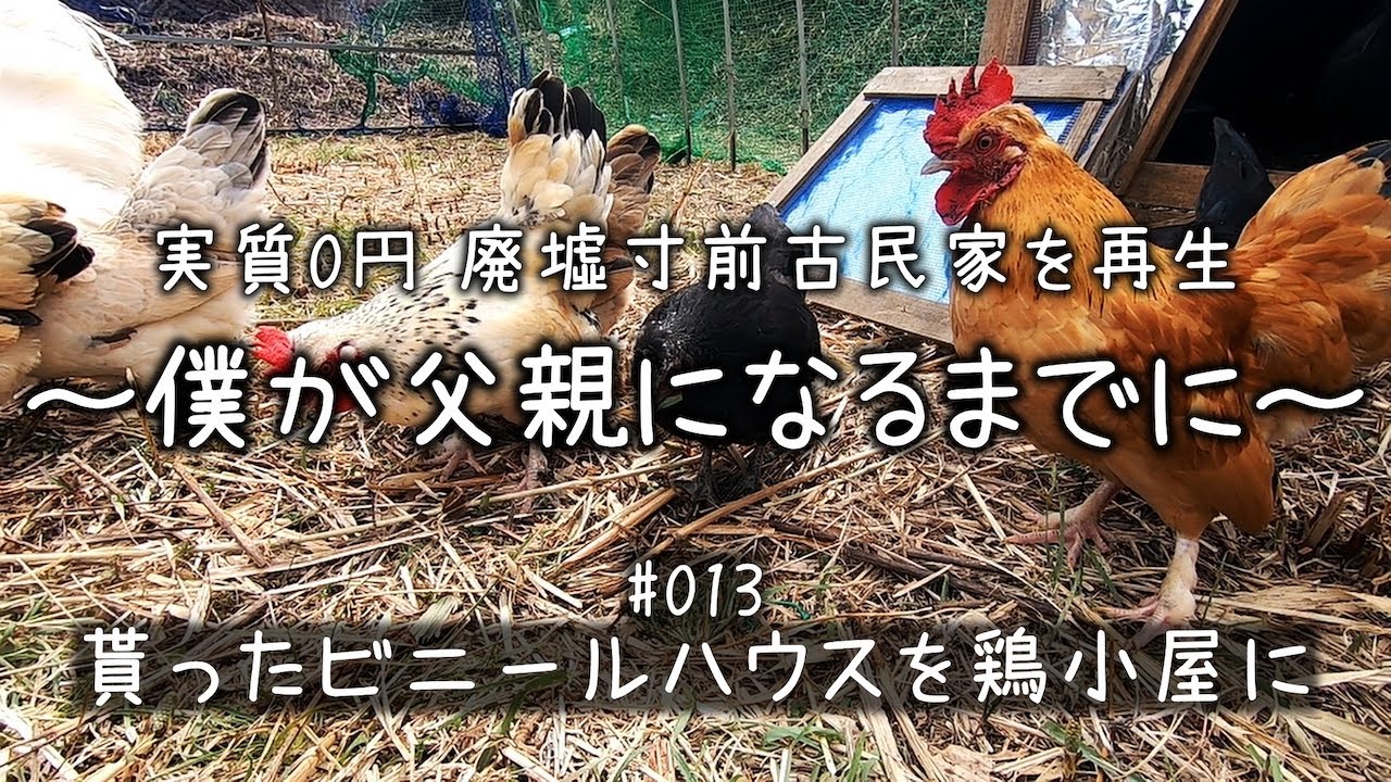 #013　解体したビニールハウスを鶏小屋として移設！　素敵な田舎暮らしを目指して