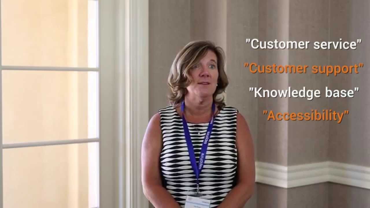 Why Sapphire for SAP Business One | Sapphire Systems US