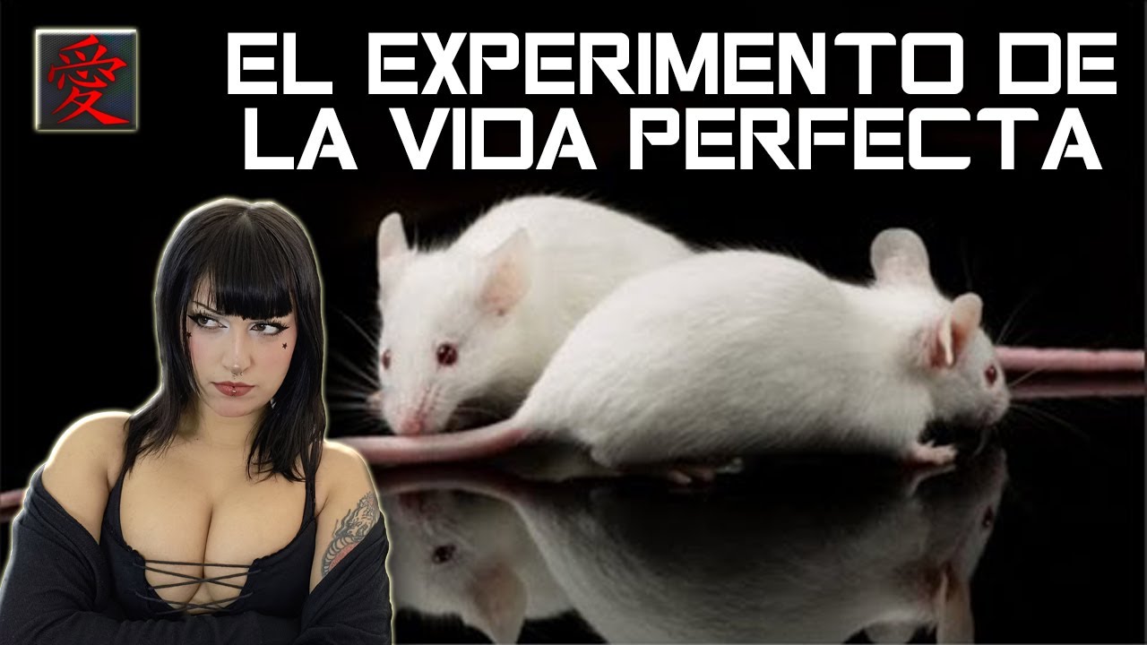 El experimento de la vida perfecta | reacción a TRI-LINE