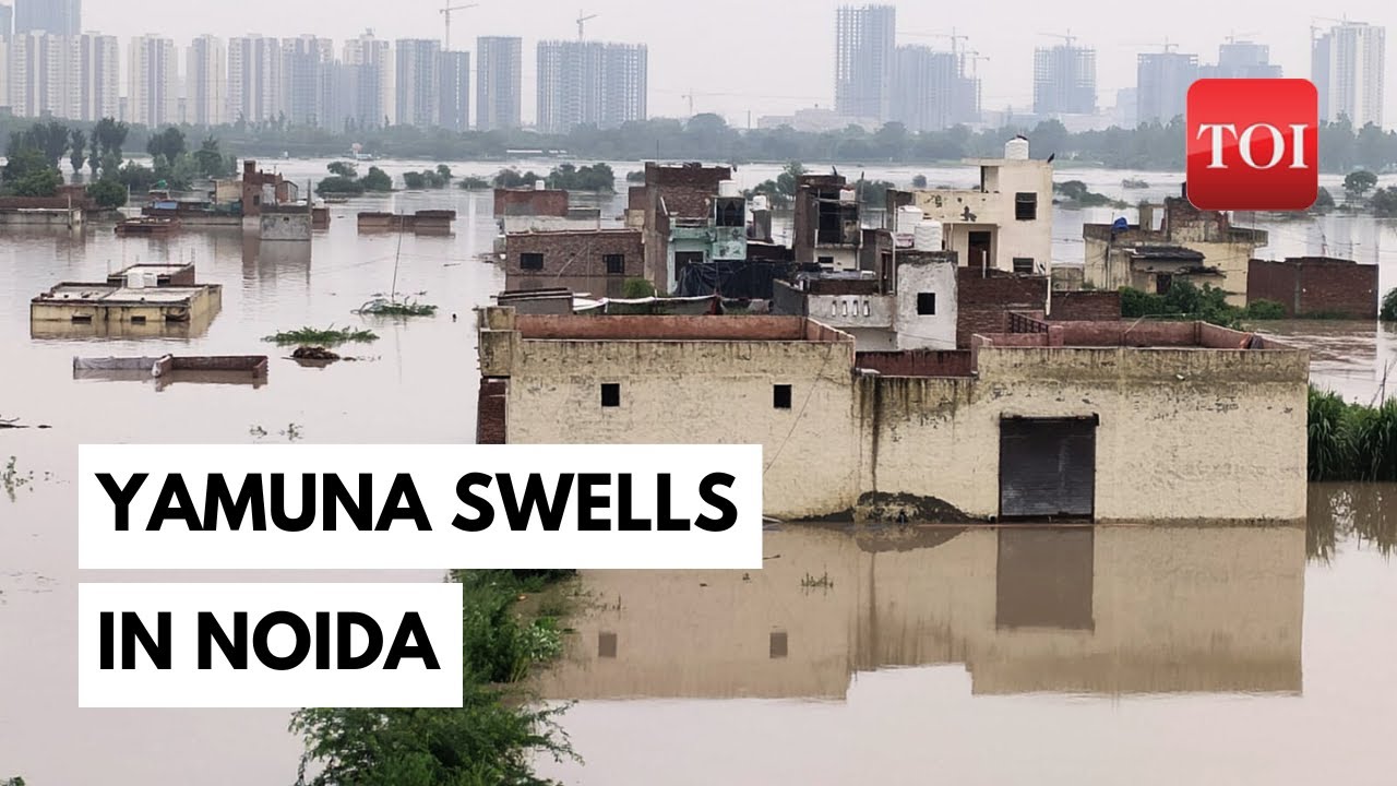 Delhi Rains | Yamuna river flooding forces families in Noida to take shelter on higher ground