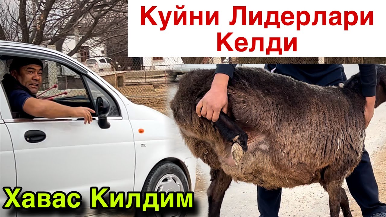 2 Партия Куйлар! ☎️+998 94 338 6060 ☎️+998 94 617 22.34