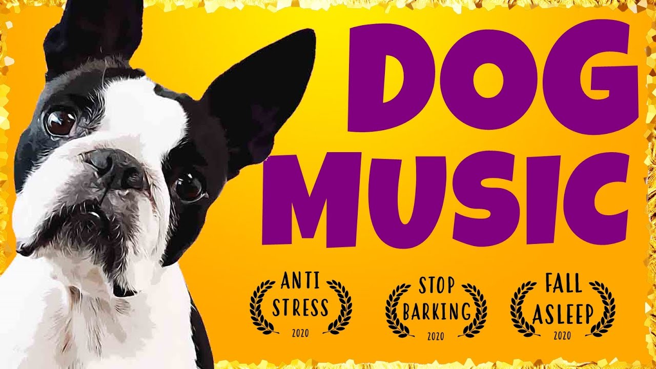 Relaxing music for Boston Terrier ~ Music For Dogs to Sleep [TESTED]