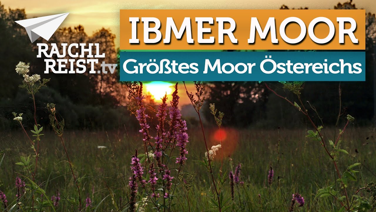 Geheimtipp in Oberösterreich: Das Ibmer Moor