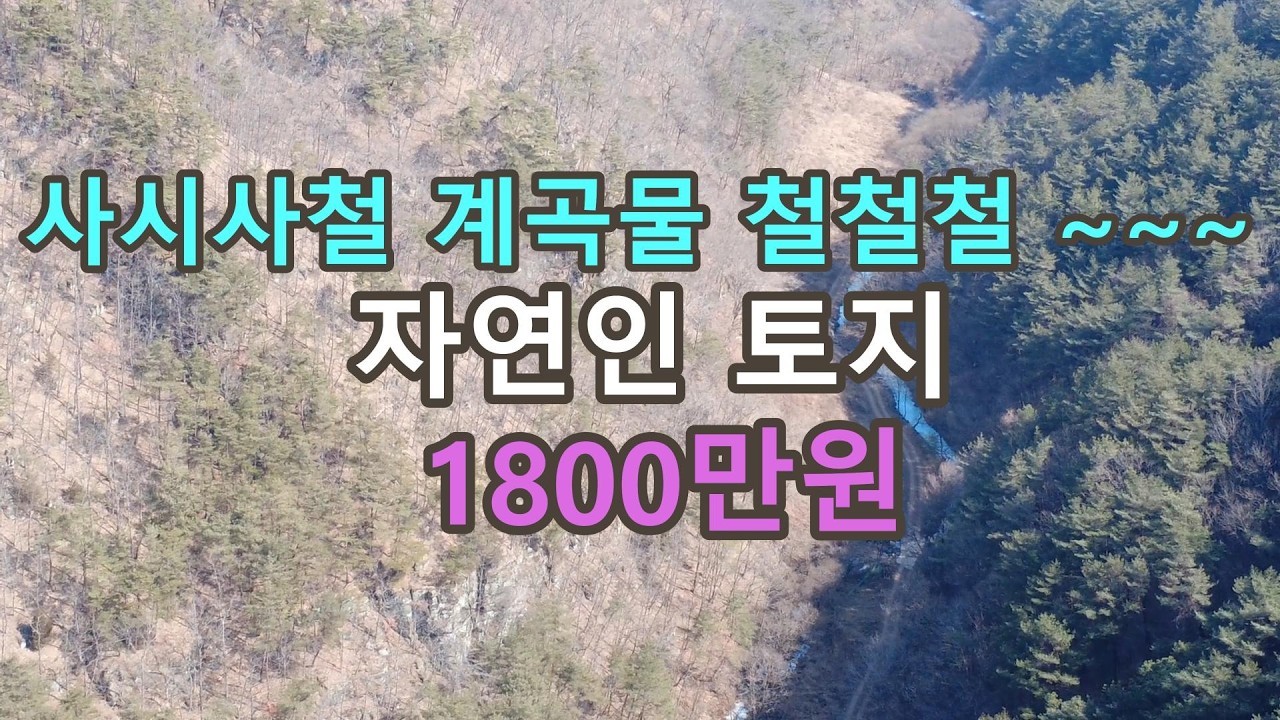 태고의 신비~비슷한 냄새 느껴지는곳입니다. 감사합니다.~~#안동부동산#싼땅#시골땅#경북땅#촌땅#자연인 토지