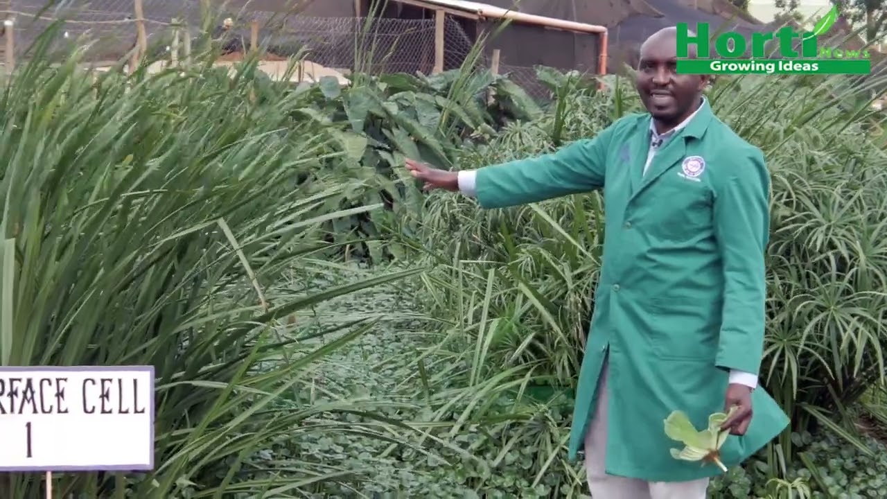 Marginpar Kariki Farm Juja