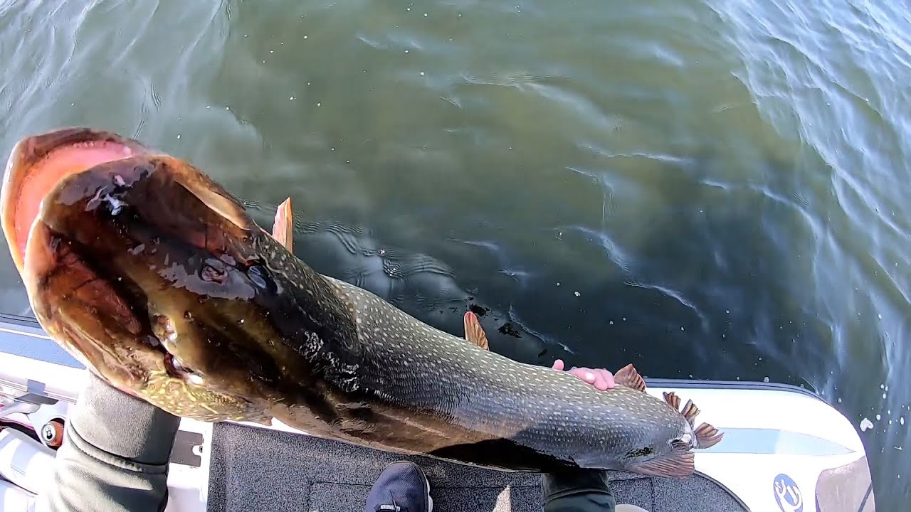 The Search For Great Pond Pike