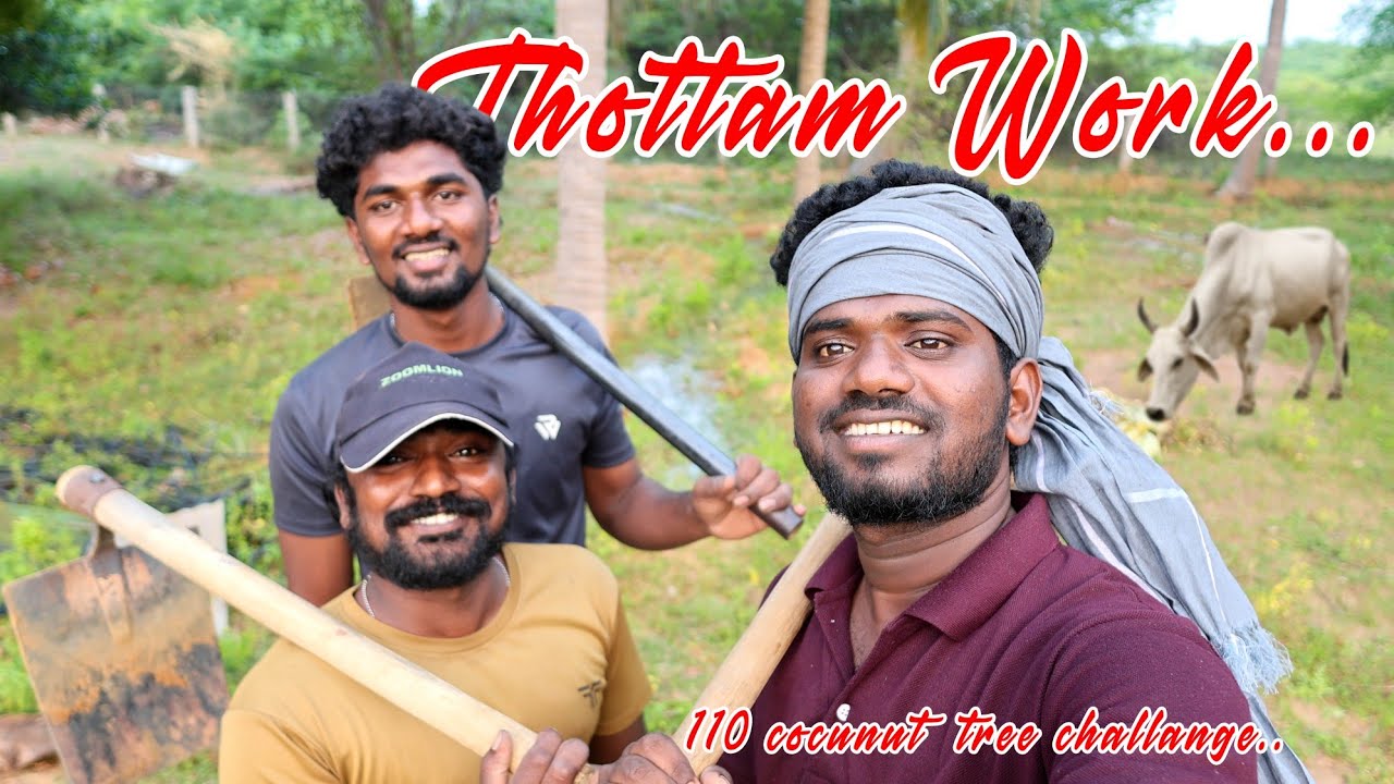 🌴🔥110 தென்னை மரம் Challenge | Coconut fertilizer |