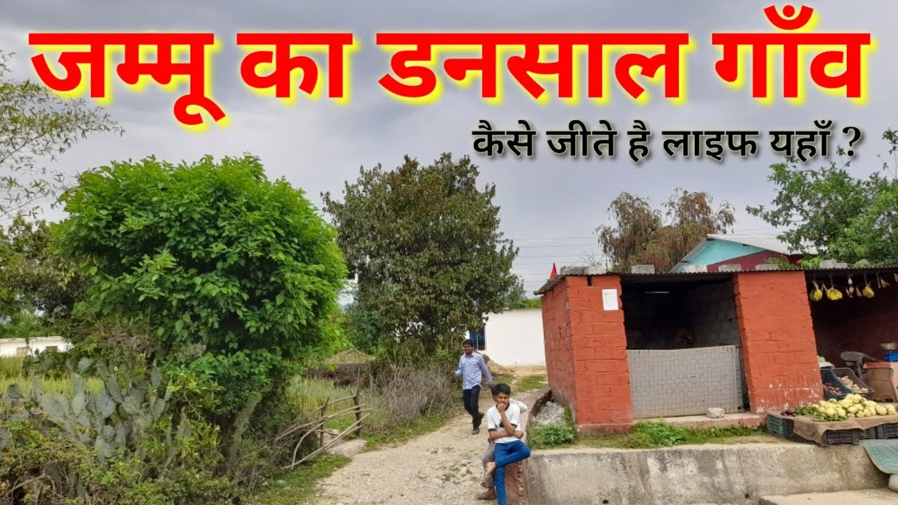 जम्मू का डनसाल गाँव की हकीकत l jammu ki dansal village l kashmir village tour l Jammu kashmir villge