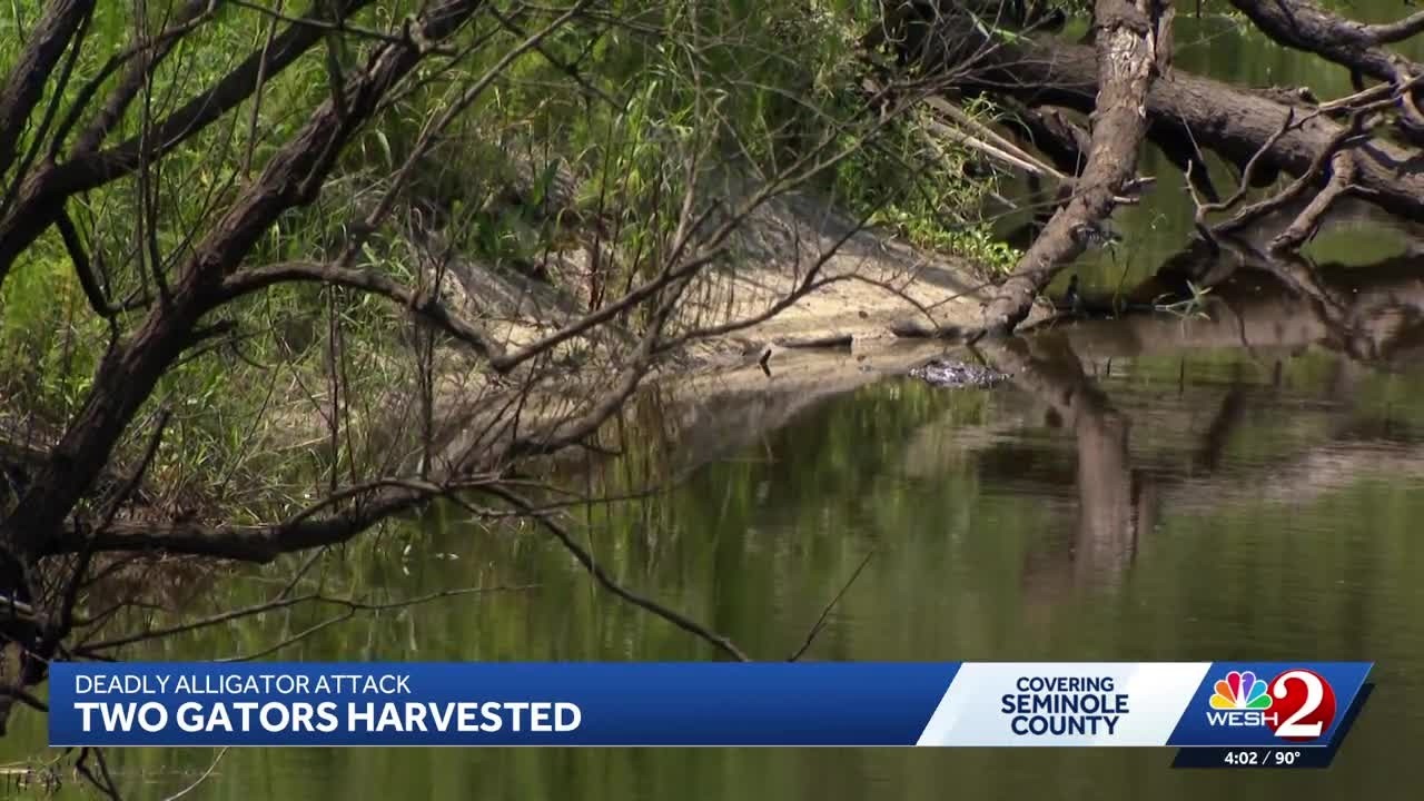 Trail closed after gator attack in Florida river leaves 31-year-old woman dead