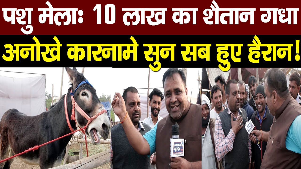 पशु मेला: 10 लाख का शैतान गधा! कारनामे सुनकर सब हुए हैरान |