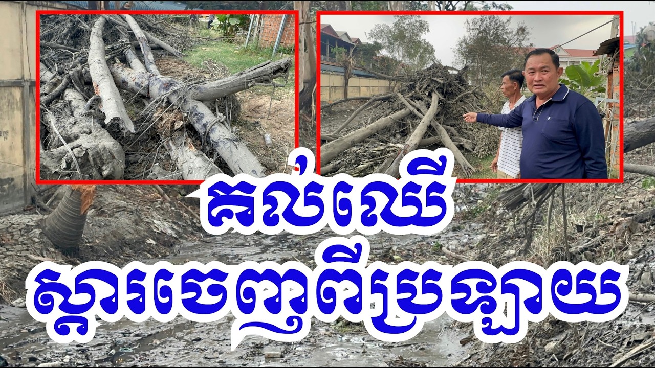 មើល គល់ឈើ ស្តារយកចេញពីប្រឡាយ ក្រោយសាលាជម្ពូវ័ន លែងឆ្ងល់ ហើយម៉េចបានចេះតែលិច ពេល ប្រឡងបាក់ឌុប ម្តងៗ !